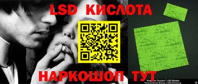 индика Славгород