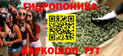 крисы Славянск-на-Кубани