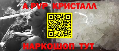 индика Славгород