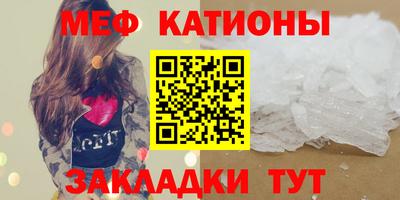индика Славгород