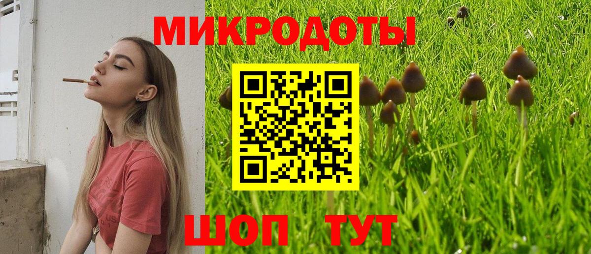 Галлюциногенные грибы Psilocybe Бахчисарай