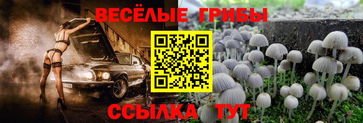Бахчисарай  Псилоцибиновые грибы мицелий  Вход с VPN 